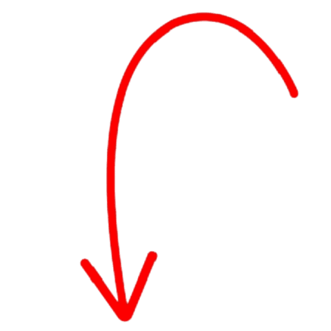 1000020512